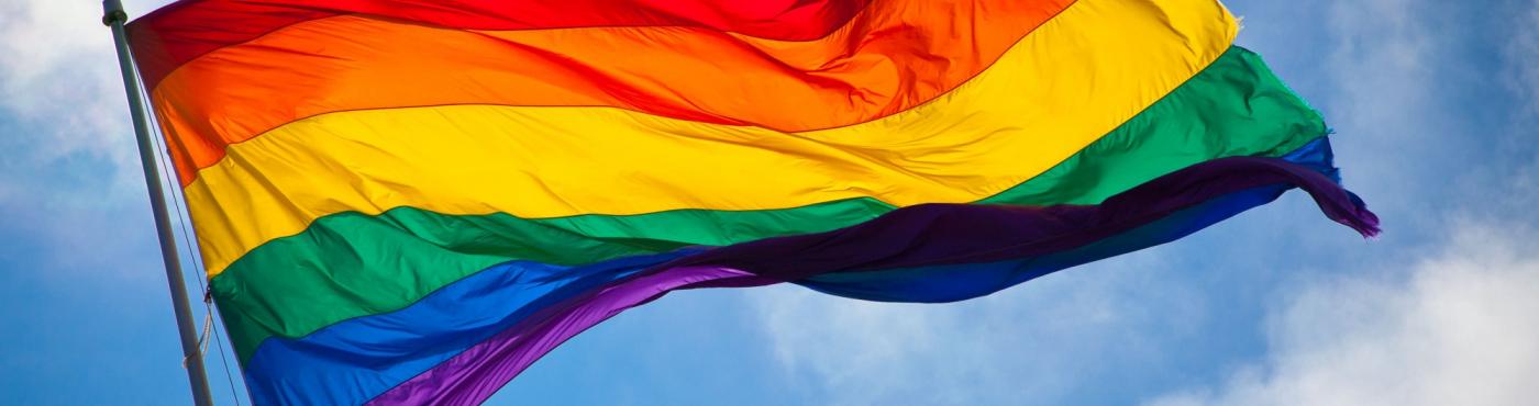 Rainbow flag