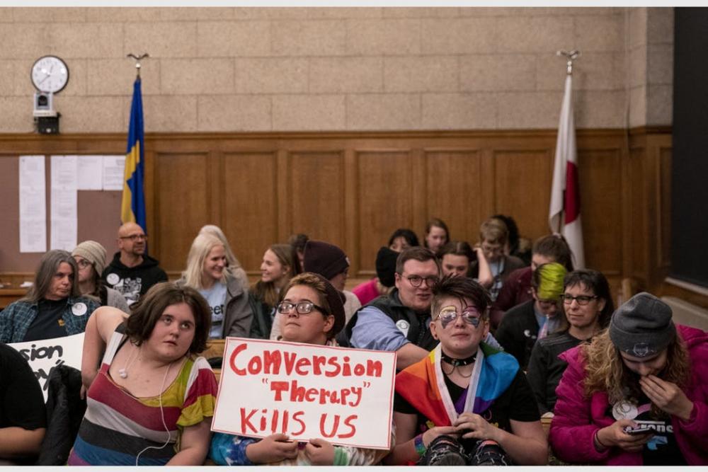 A few dozen people adorned in rainbow colors and holding signs sat in on the Duluth City Council meeting where a vote was held to ban Conversion Therapy.